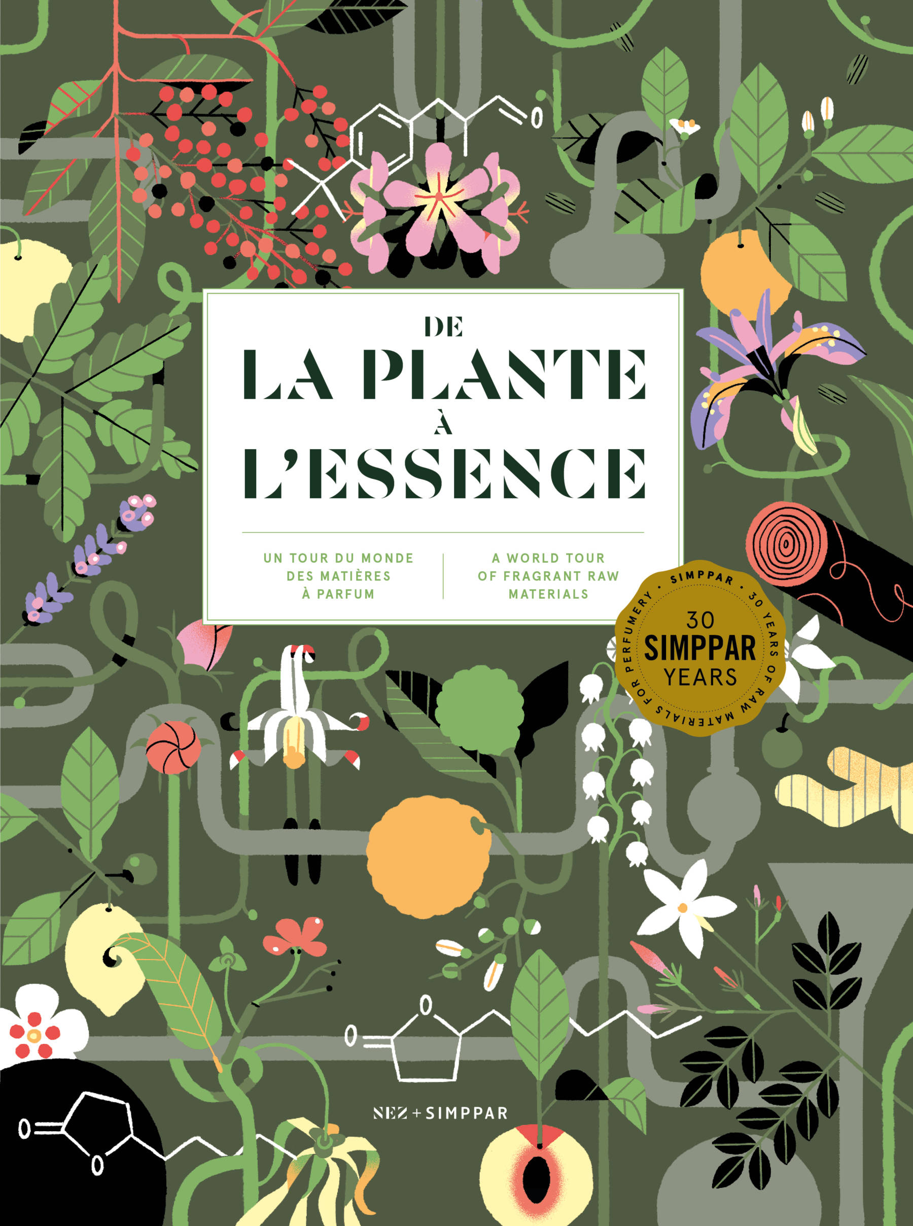 De la plante à l'essence
