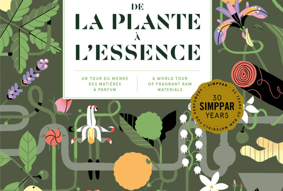 De la plante à l'essence